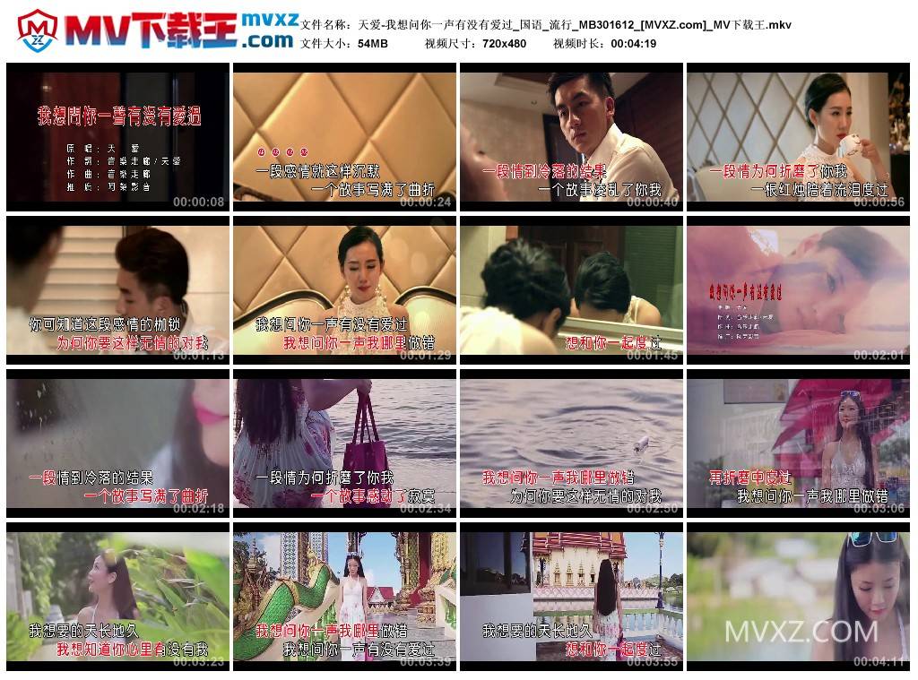 天爱-我想问你一声有没有爱过_国语_流行_MB301612